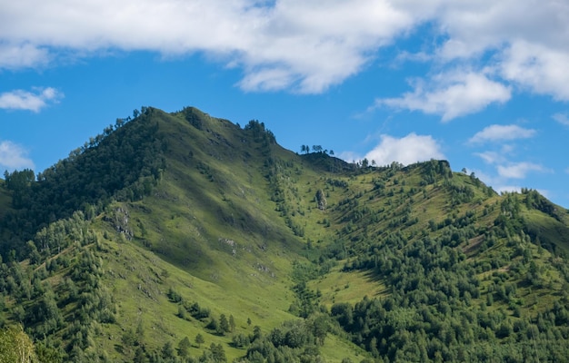 Amazing view of mountains and forest landscape with cloudy skies altai