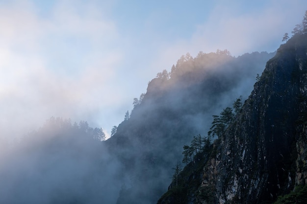 Amazing view of mountains and forest landscape with cloudy skies altai