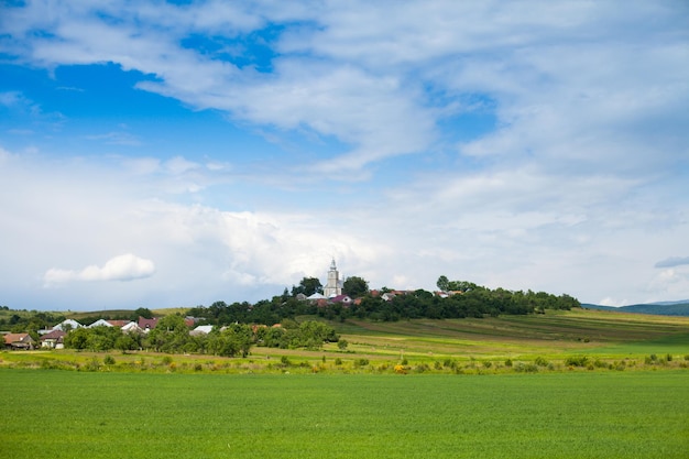 Amazing view of summer nature with green meadow, trees and ancient castle surrounded by houses