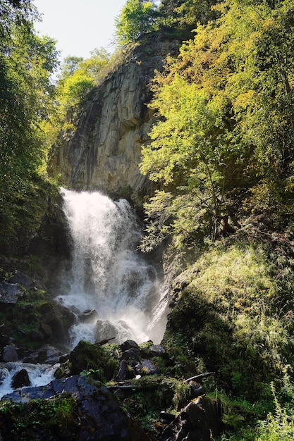 Amazing waterfall in forest in summer Spectacular scenery of fast waterfall flowing down into river in woods in mountains on sunny day