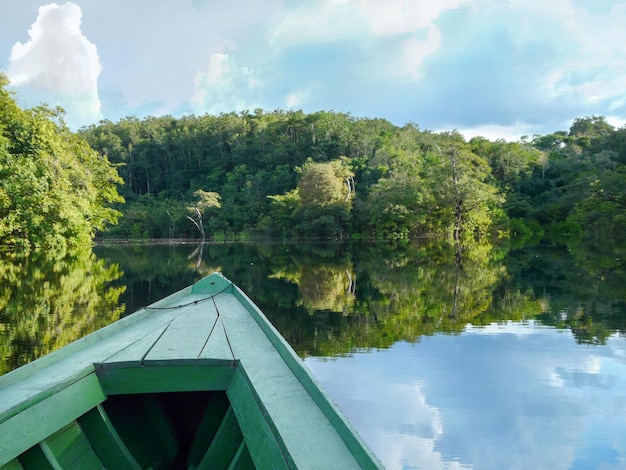 Amazon river and rain forest jungle Brazil