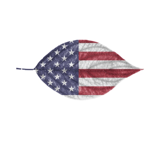 America's flag on a leaf is isolated on a white background