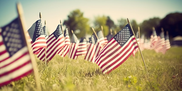 American 4th july cementery american usa flag Sunset Patriotic United States of American flags