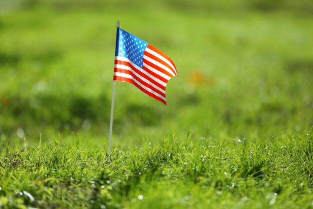 American flag on green grass closeup