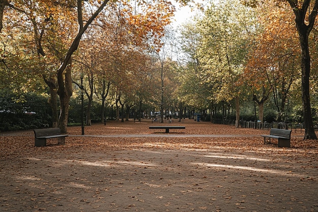 Photo amidst the urban hustle madrids parks offer tranqu