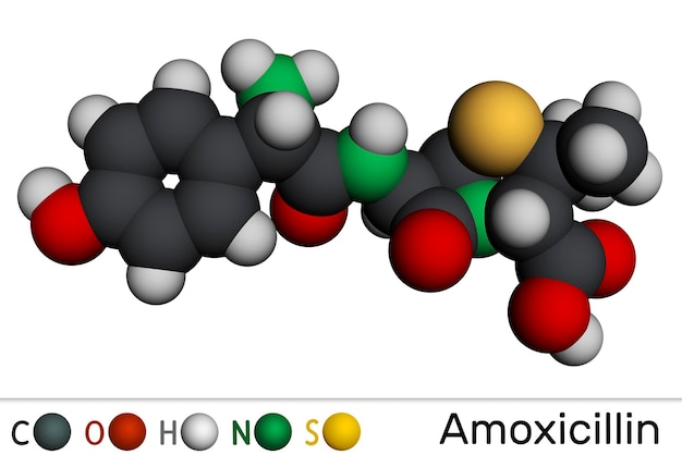 Amoxicillin drug molecule It is betalactam antibiotic Molecular model 3D rendering