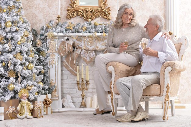 Amusing old couple celebrating Christmas near fir tree