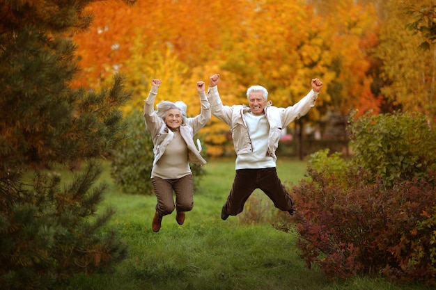 Amusing old couple