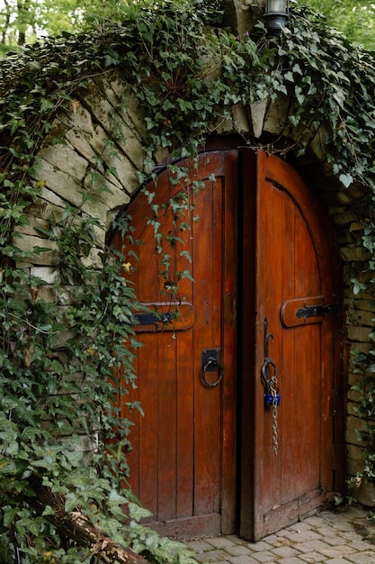 Anciant cellar door with ivy plant Moldova