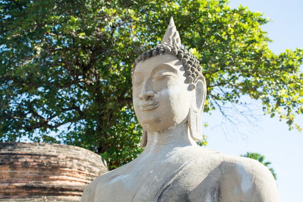 Ancient Buddha Statues around big pagoda of Wat Yai Chaimongkol, Ayutthaya, Thailand