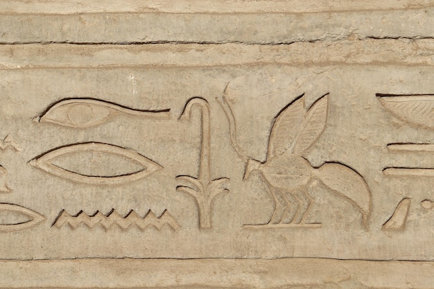 Photo ancient egyptian hieroglyphs carved at kom ombo temple in aswan, egypt