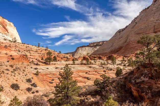 Ancient escarpment in Zion National Park