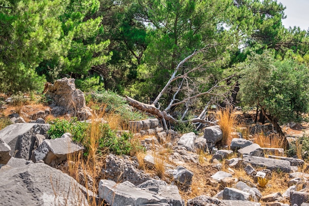 Ancient Greek city Priene on the western coast of Turkey