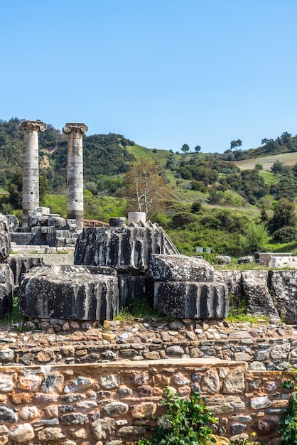 Ancient Historical Tourism Place Sardes Artemis