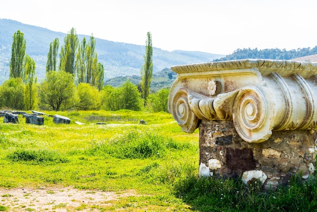 Ancient Historical Tourism Place Sardes Artemis