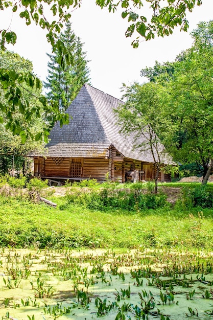 Ancient houses with thatched roofs