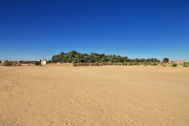 Ancient Pharaoh's Tomb in El Kurru, Sudan