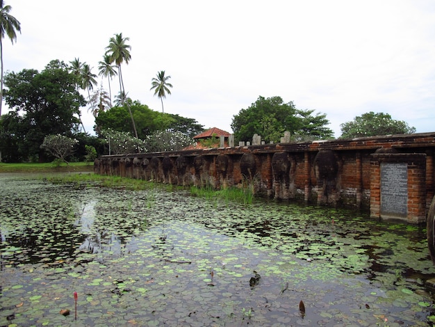 Ancient ruins close Yala National park in Sri Lanka