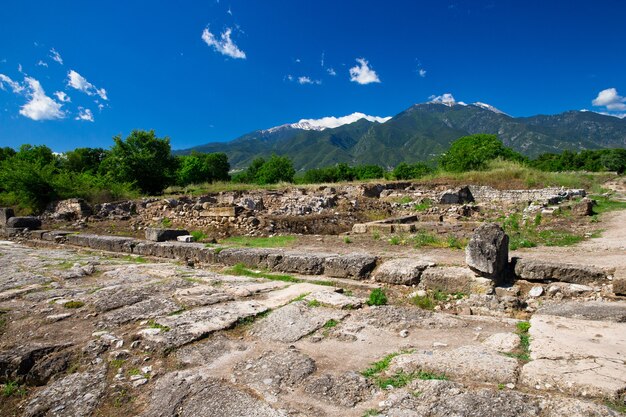 Ancient ruins in Dion, Greece.