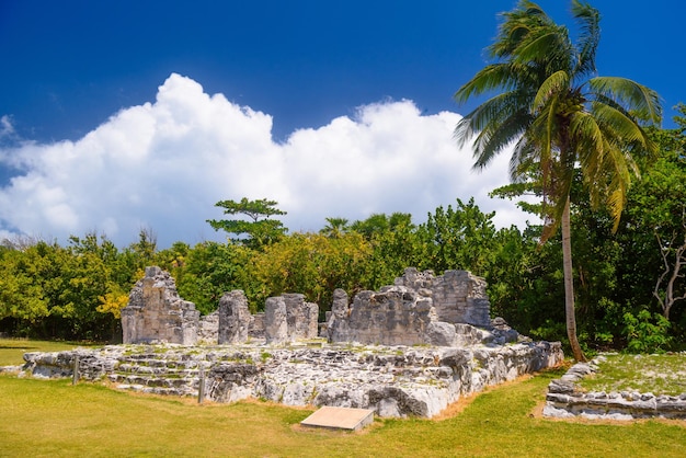 Ancient ruins of Maya in El Rey Archaeological Zone near Cancun Yukatan Mexico