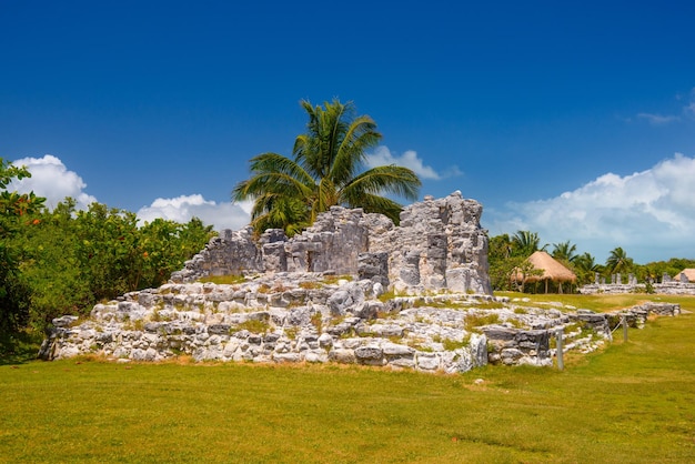 Ancient ruins of Maya in El Rey Archaeological Zone near Cancun Yukatan Mexico