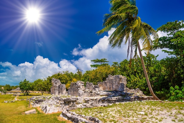 Ancient ruins of Maya in El Rey Archaeological Zone near Cancun Yukatan Mexico