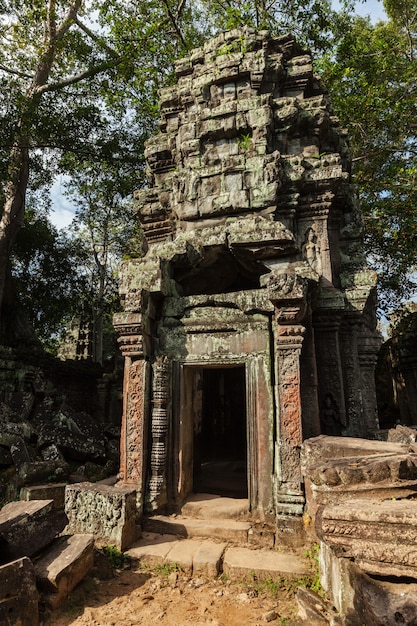 Ancient ruins and tree roots, Ta Prohm temple, Angkor, Cambodia