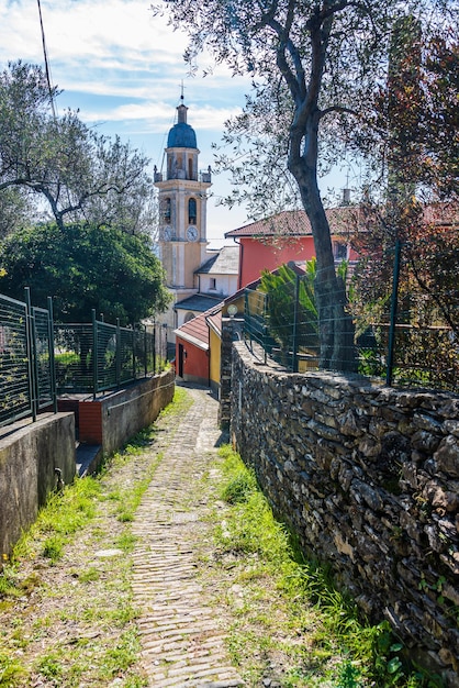 Ancient Stone path on the hills of Chiavari betwenn houses and olive trees