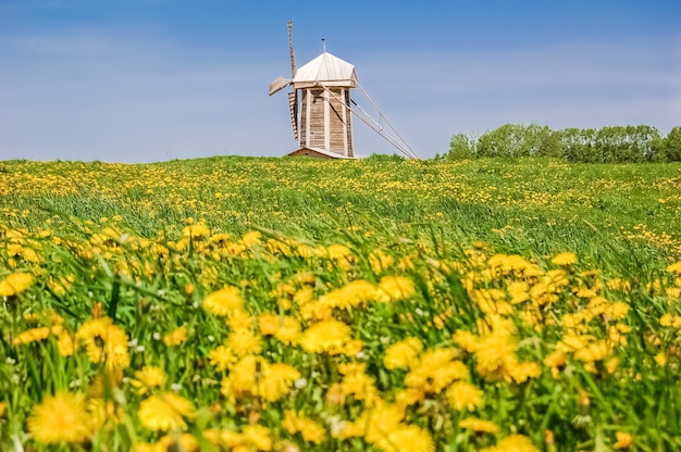 Ancient windmill with thatched roofing in meadow