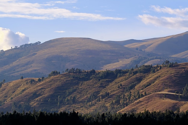 Andean landscape