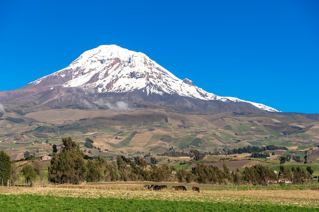 Andes mountain Cotopaxi in Ecuador