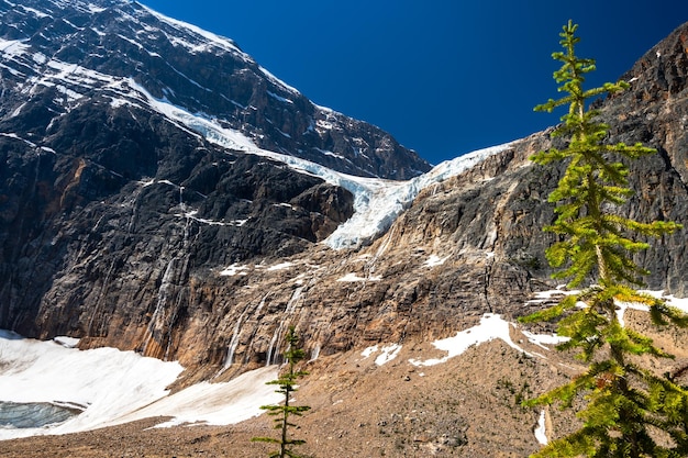 Angel Glacier Mount Edith Cavell in 2021 summer Jasper National Park beautiful landscape Alberta