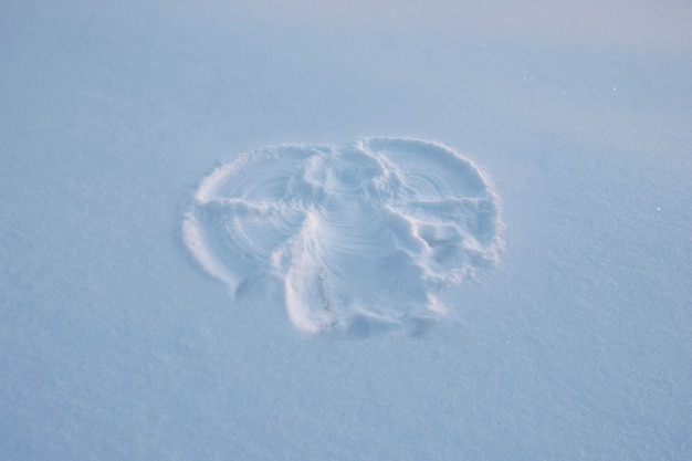 Angel shape on fresh snow in winter