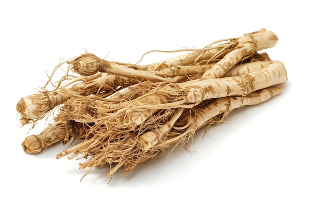 Angelica root used in Chinese traditional herbal medicine on white background