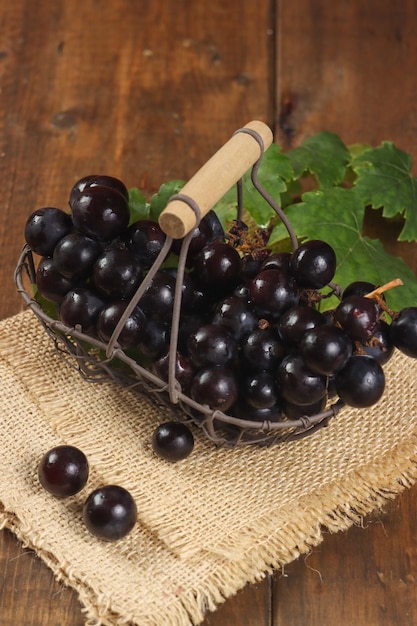 Anggur hitam or Fresh black grapes