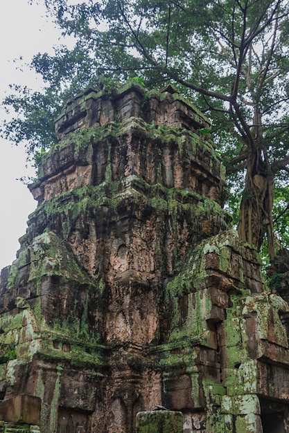 Angkor Wat complex