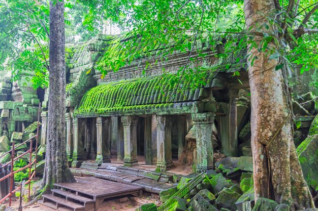 Angkor Wat complex