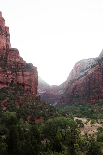 Photo angles rest zion national park utah