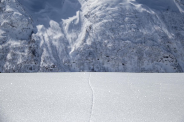 Animal footstep on a snowy mountainside on sunny day