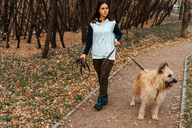 Animal training. A volunteer girl walks with a dog from an animal shelter. Girl with a dog in the autumn park