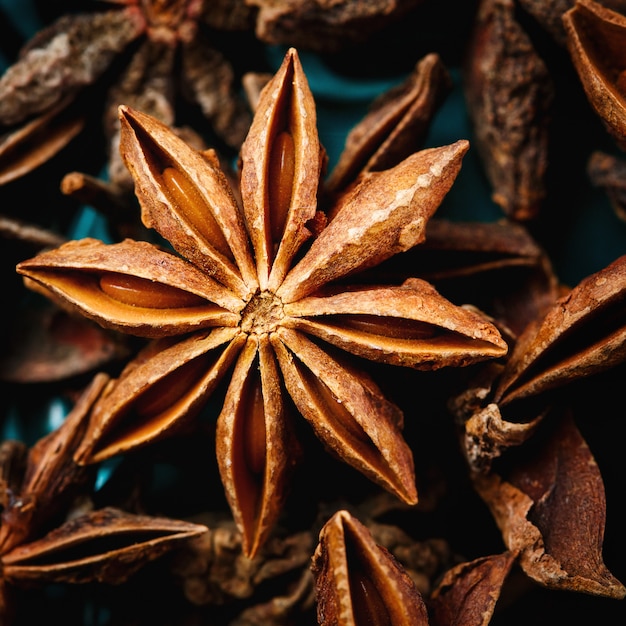 Anise star spice extreme close-up