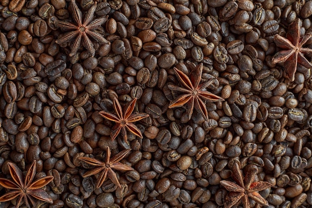 Anise stars on coffee beans