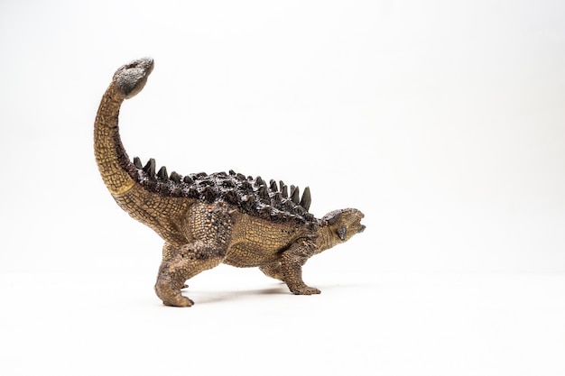 Ankylosaurus Dinosaur on white background 