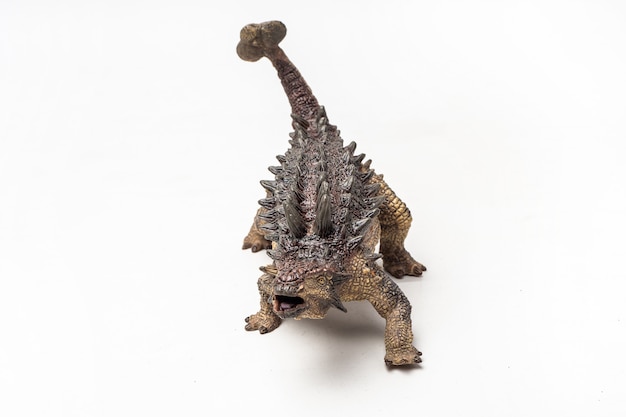 Ankylosaurus Dinosaur on white background 