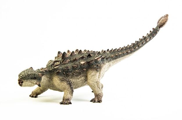 Ankylosaurus , dinosaur.