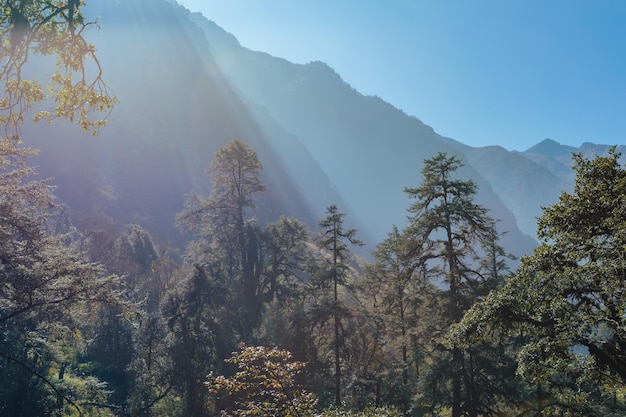 Annapurna South in the morning Himalayas Nepal