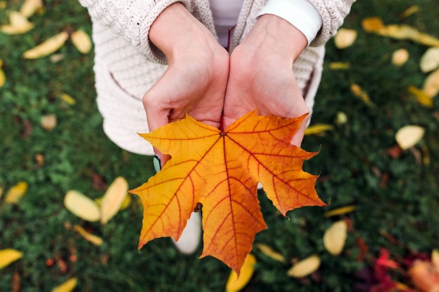 Anonymous woman showing orange maple leaf