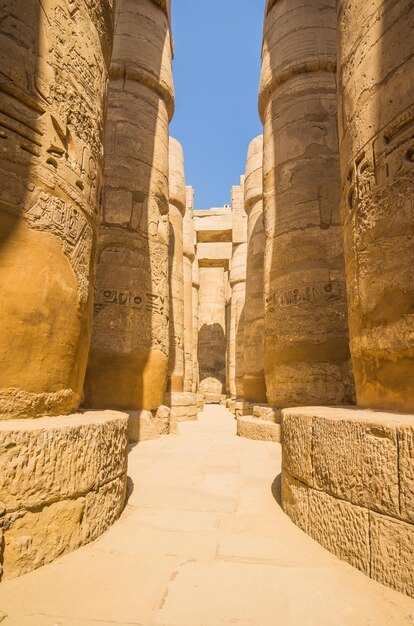 Photo anscient temple of karnak in luxor ruined thebes egypt huge columns with hieroglyphs