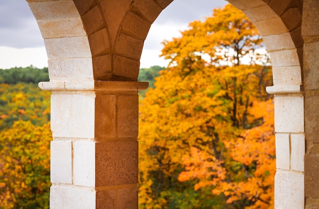 Antique arch window and autumn fall garden landscape