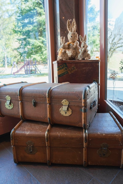 Antique bags and rabbit decoration in luxury hotel